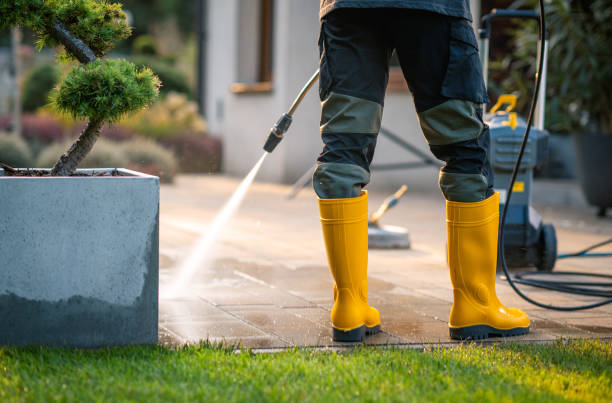 Best Roof Power Washing Services  in Forest Park, OH
